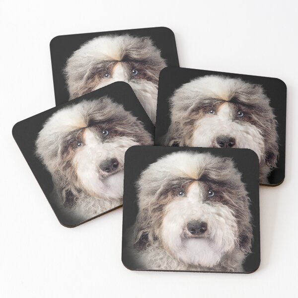 Item preview, sheepadoodle designed and sold by david parry.