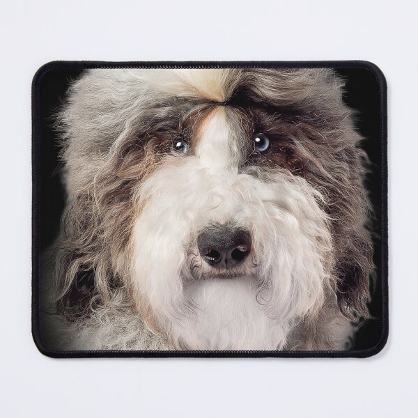 Item preview, sheepadoodle designed and sold by david parry.