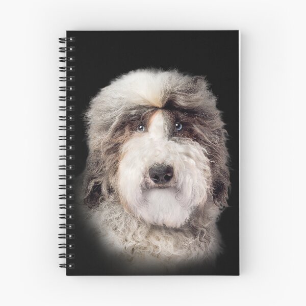 Item preview, sheepadoodle designed and sold by david parry.