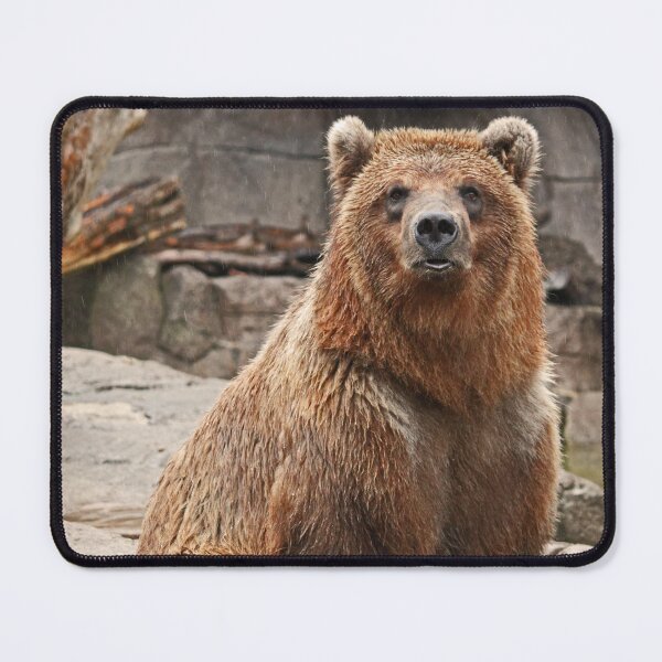 Item preview, Alaskan brown bear designed and sold by rootedrender.
