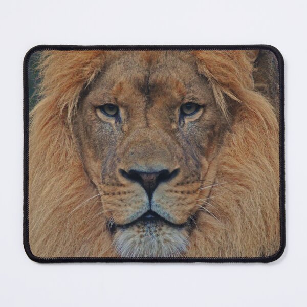 Item preview, African lion designed and sold by rootedrender.