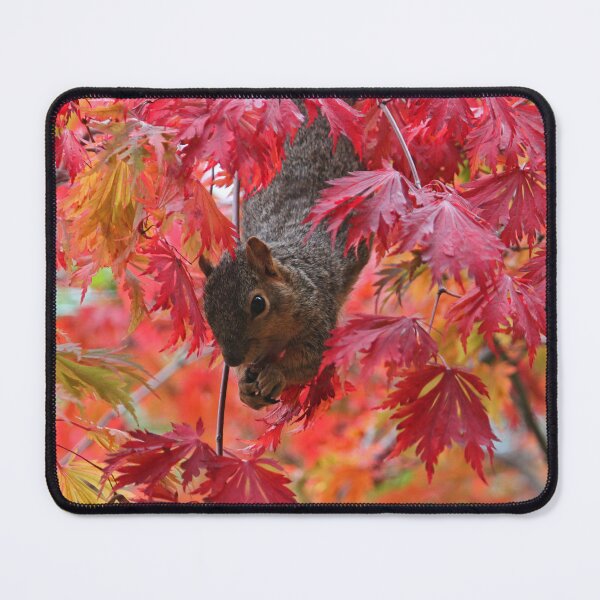 Item preview, Grey squirrel designed and sold by rootedrender.