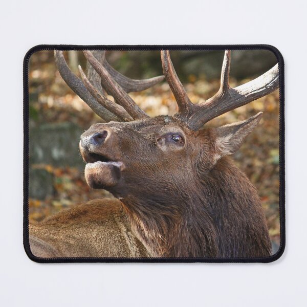 Item preview, Elk designed and sold by rootedrender.