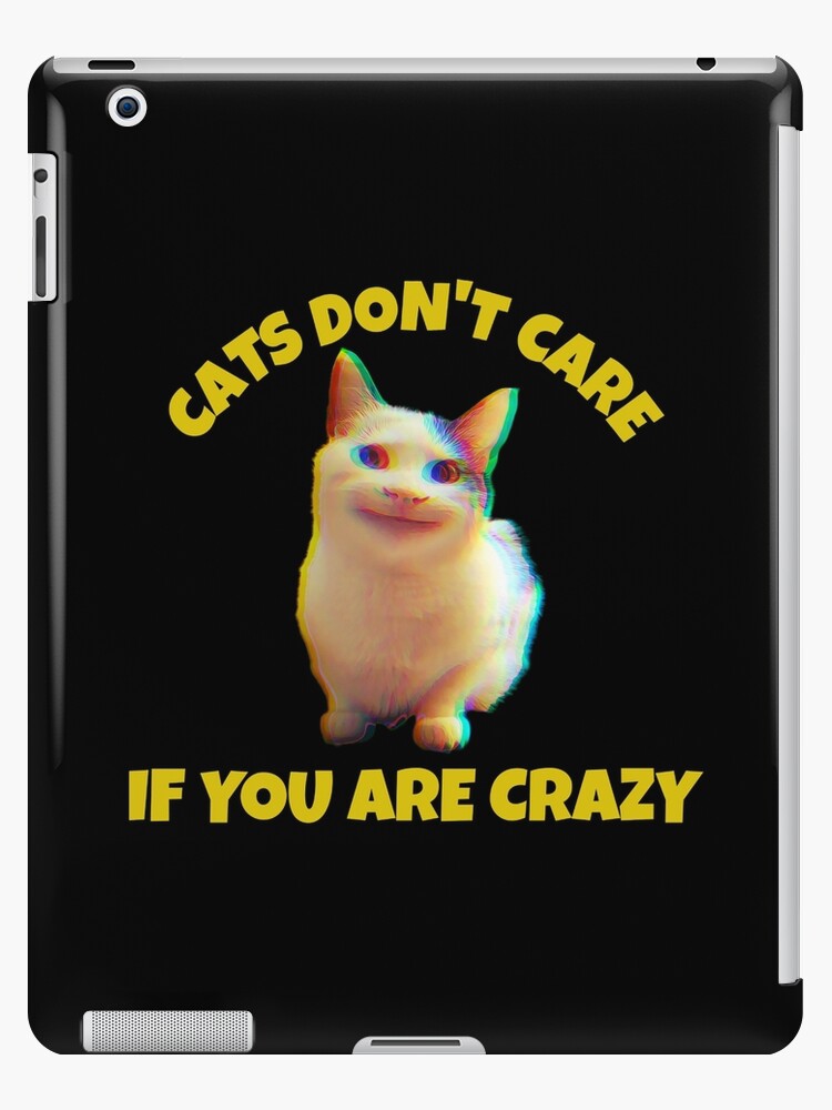 Cats don't care if you are crazy, cat meme, ORIGINAL Willow Days | Poster