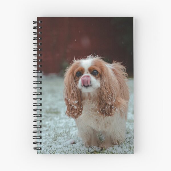 Item preview, Snow-licking Cavalier designed and sold by JoshDaBosh.
