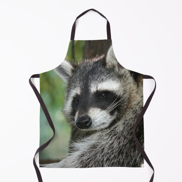 Item preview, Racoon 001 designed and sold by JAMFoto.