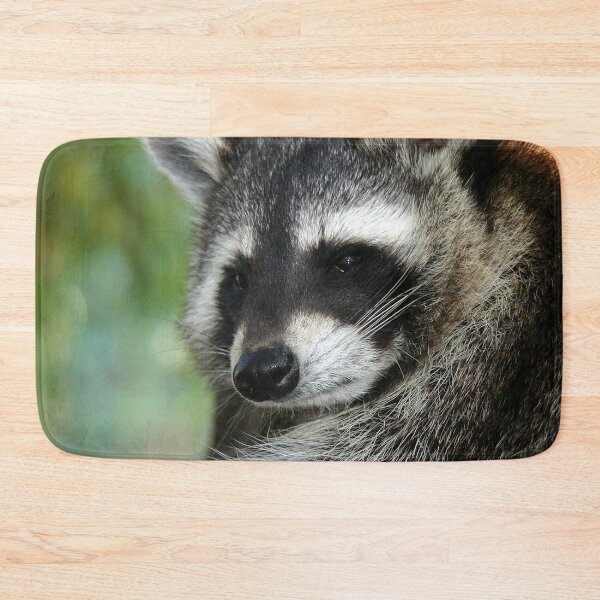 Item preview, Racoon 001 designed and sold by JAMFoto.