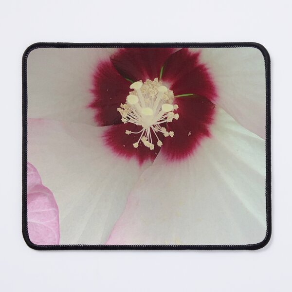 Item preview, Chinese Hibiscus designed and sold by KMHPhotography.