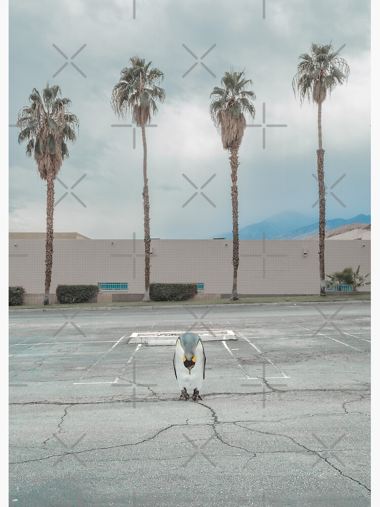 Hombre Loco by jeremysaunders