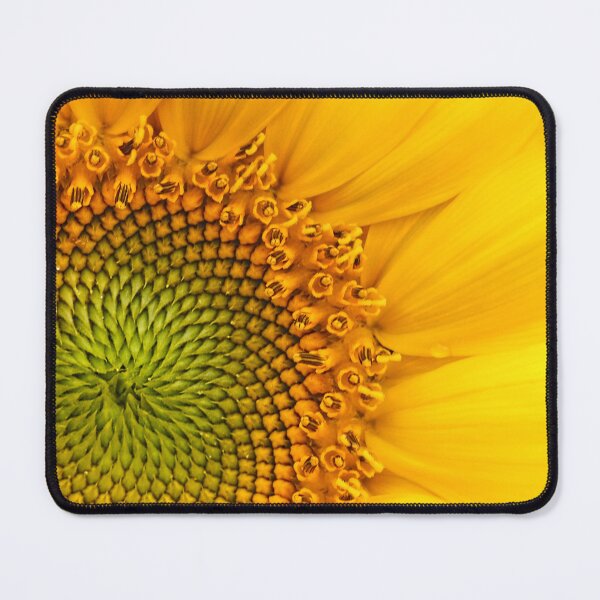 Item preview, Fibonacci Sequence designed and sold by chuckirina.