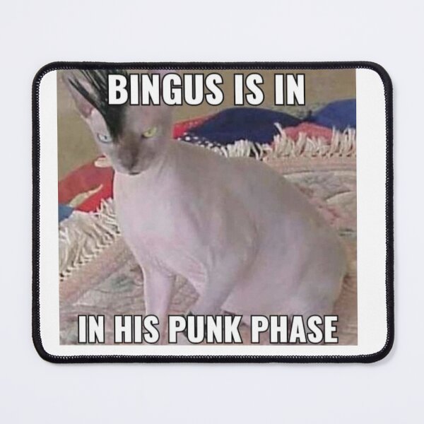 Item preview, Bingus is in his punk phase designed and sold by freakydutchkid.