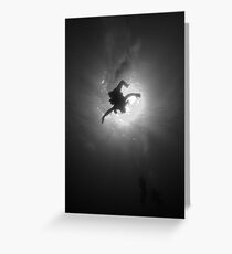 Embracing The Sun Greeting Card