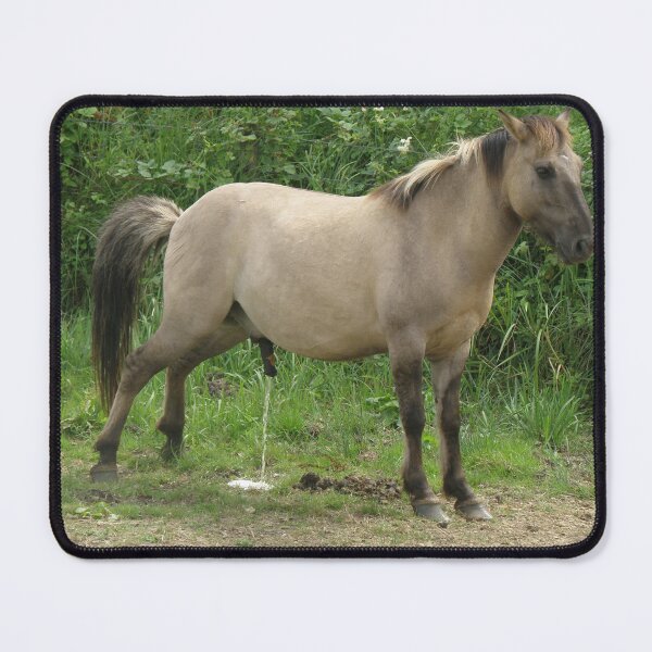 Item preview, Funny Horse Having a Wee Photograph designed and sold by naturegallery.