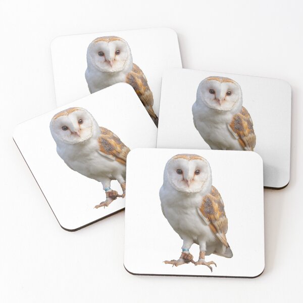 Item preview, English Barn Owl designed and sold by Dalyndigital Photography.