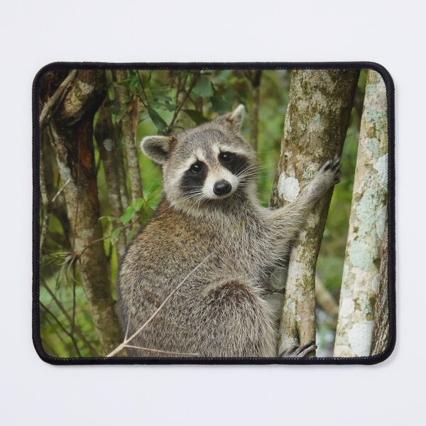 Item preview, The Portrait of The Raccoon designed and sold by Dead-Moroz.