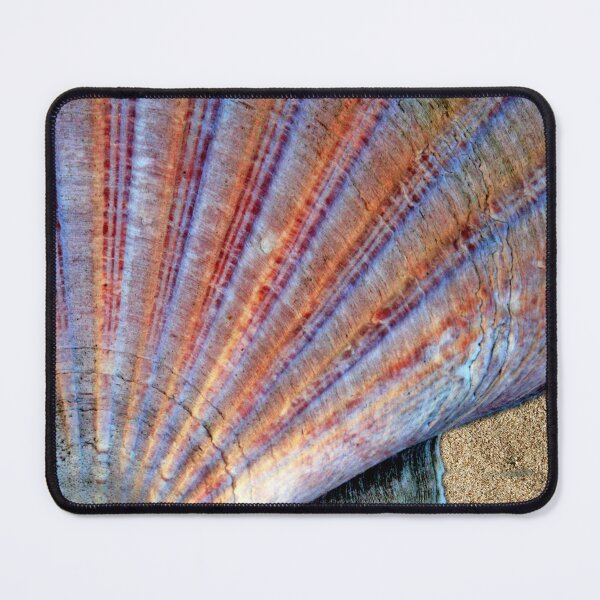 Item preview, Scallop Shell on the Sand designed and sold by Anna Lemos.