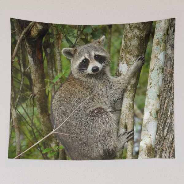 Item preview, The Portrait of The Raccoon designed and sold by Dead-Moroz.