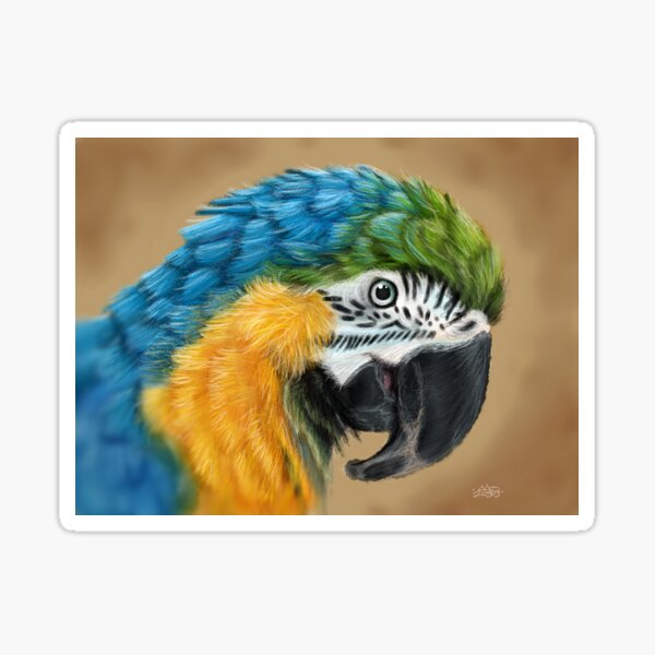 Macaw Sticker