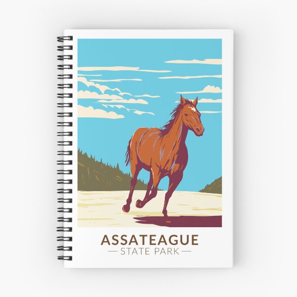 Item preview, Assateague State Park Maryland Vintage designed and sold by KrisSidDesigns.