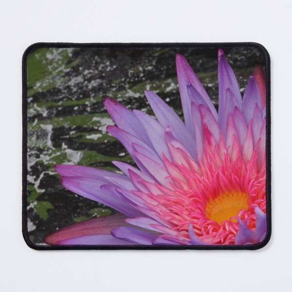 Item preview, Purple and pink water lily designed and sold by rootedrender.