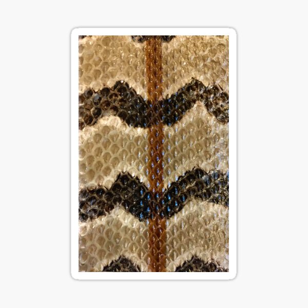 "Timber Canebrake Rattlesnake Skin" Sticker by Tree45 | Redbubble