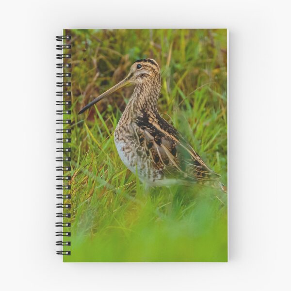 Item preview, Snipe in the grass designed and sold by Dalyndigital Photography.
