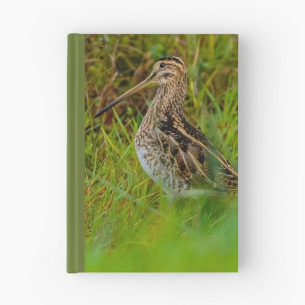 Item preview, Snipe in the grass designed and sold by Dalyndigital Photography.