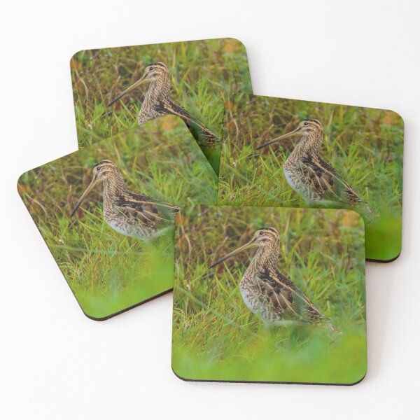Item preview, Snipe in the grass designed and sold by Dalyndigital Photography.