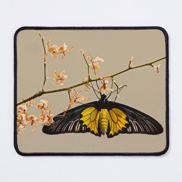 Item preview, Yellow birdwing butterfly designed and sold by rootedrender.