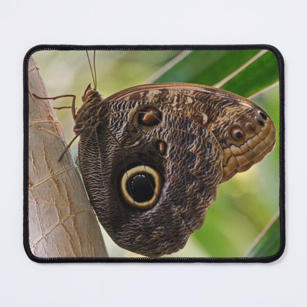 Item preview, Owl butterfly designed and sold by rootedrender.