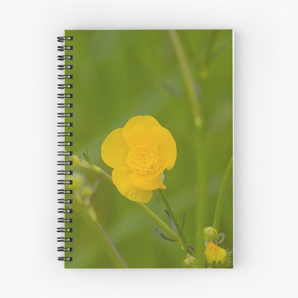 Item preview, Medow buttercup designed and sold by xophotography.