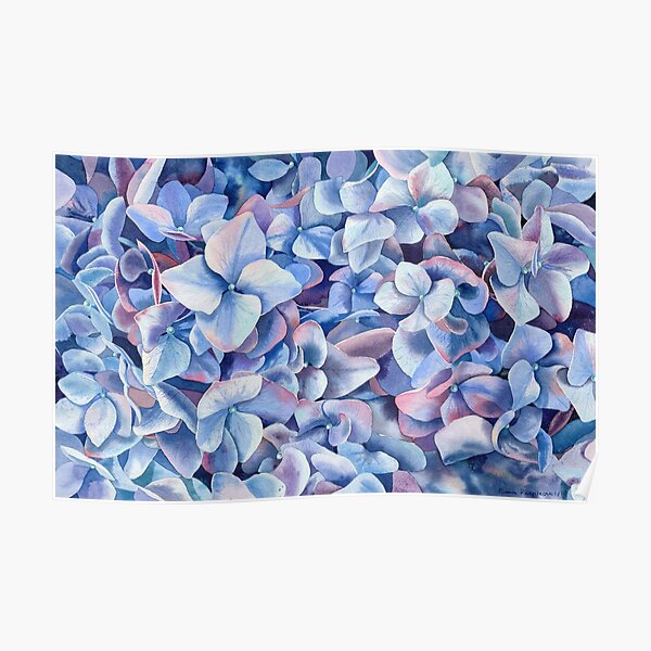 "Blue hydrangea" Poster