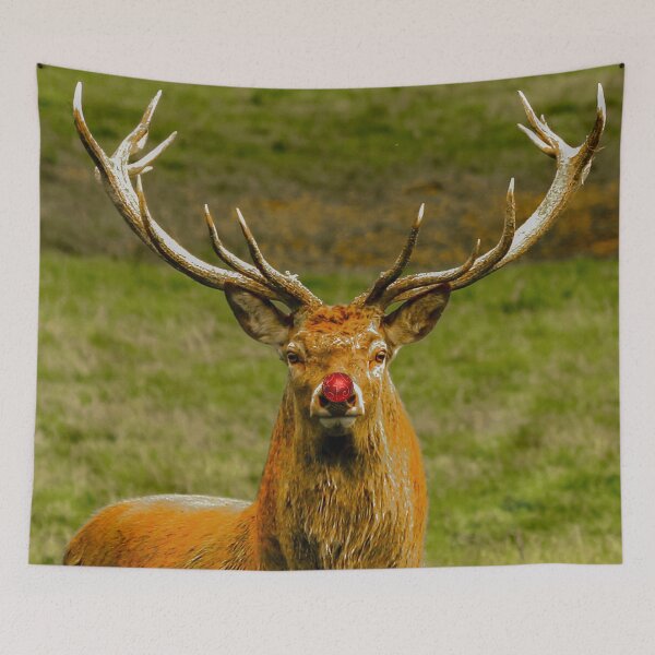 Item preview, Ho ho ho Rudolph the red nosed red Deer designed and sold by Dalyndigital Photography.