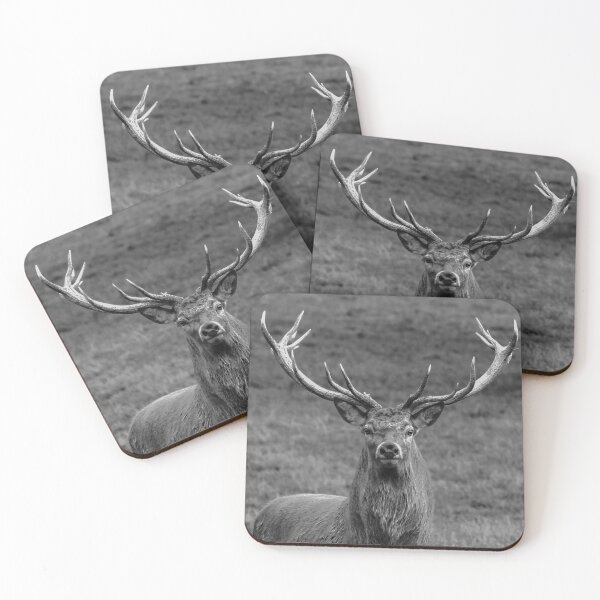 Item preview, Oh Deer designed and sold by Dalyndigital Photography.