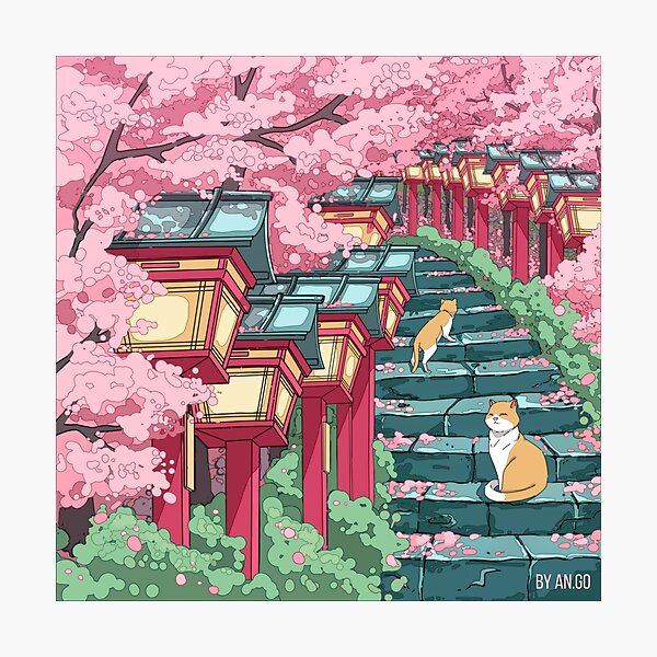 The Japanese shrine, cats and pink sakura blossom Photographic Print