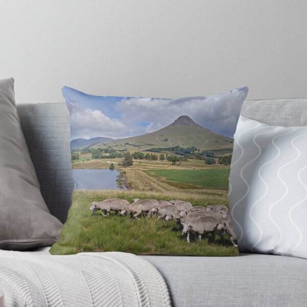 Aperçu de l'œuvre Moutons à flanc de colline créée et vendue par Ashley Crookes.