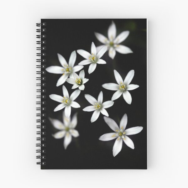 Item preview, White flowers on black background designed and sold by olena2552.