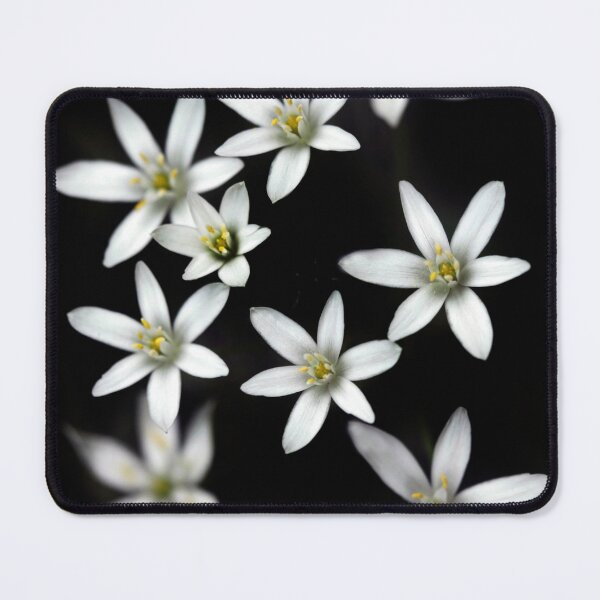Item preview, White flowers on black background designed and sold by olena2552.