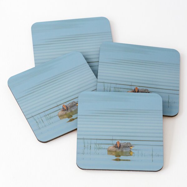 Item preview, Sleeping Eurasian Teal   designed and sold by Dalyndigital Photography.