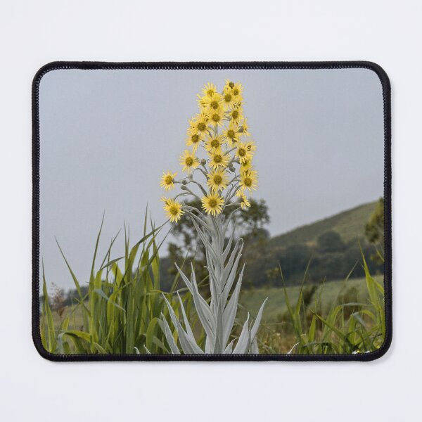Item preview, Flowered Frailejon designed and sold by Javier Narváez Solarte.