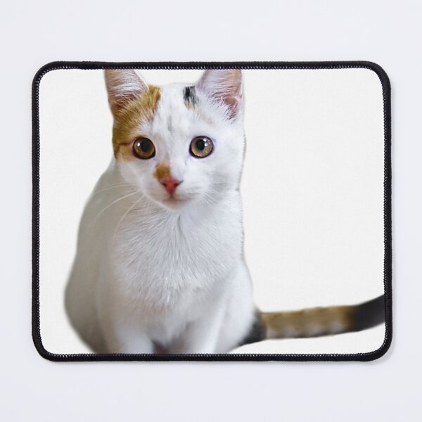 Item preview, Cat looking straight ahead designed and sold by Javier Narváez Solarte.