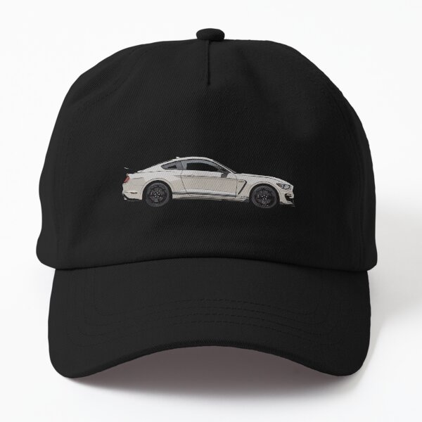 gt350 hat