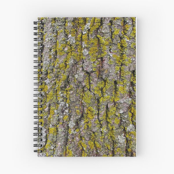 Item preview, Natural embossed bark pattern designed and sold by colouroz.