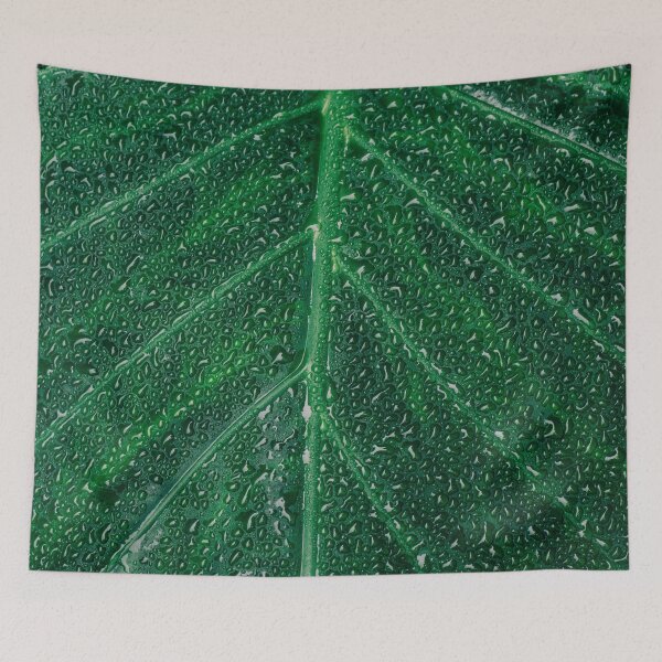 Item preview, Dew Drops on Leaf designed and sold by Emitropy.