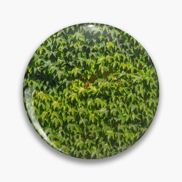 Item preview, Ivy designed and sold by Emitropy.