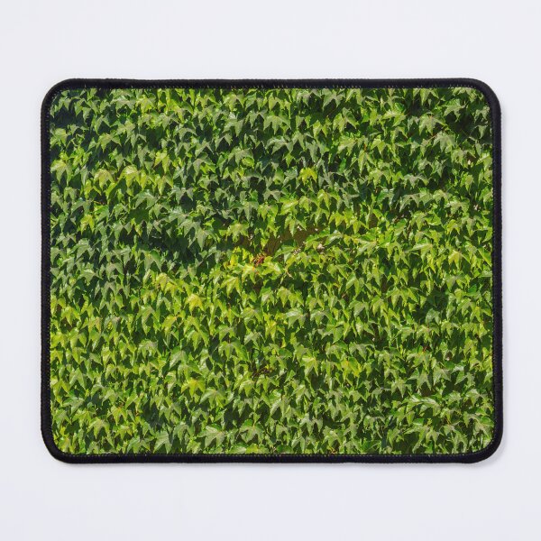 Item preview, Ivy designed and sold by Emitropy.