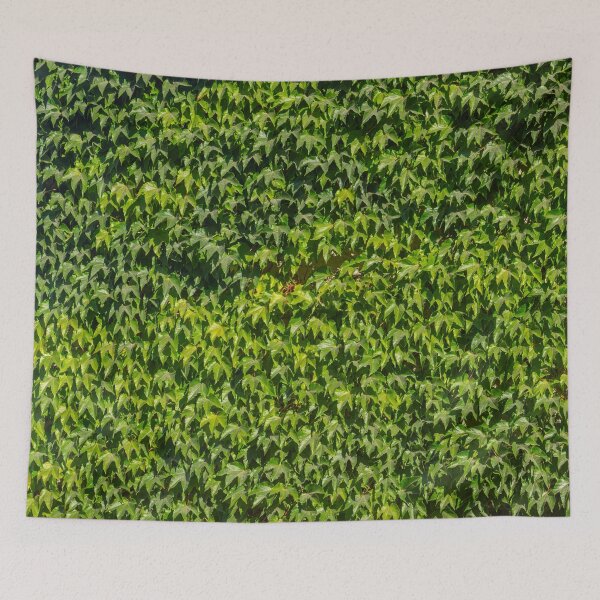 Item preview, Ivy designed and sold by Emitropy.