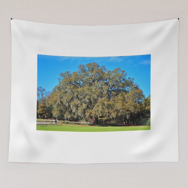 Item preview, Lovely Oak designed and sold by Cynthia48.