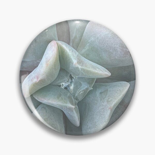 Item preview, Puffy Succulent designed and sold by Donna Turner.