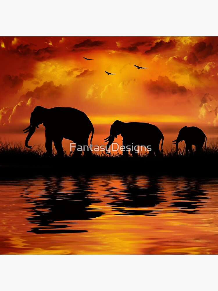 "Elephant Safari" Poster by FantasyDesigns | Redbubble